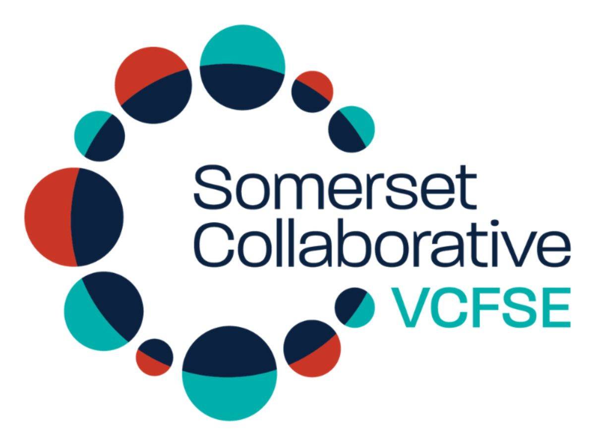 Somerset VCFSE Collaborative