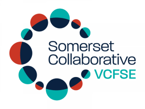 Somerset VCFSE Collaborative