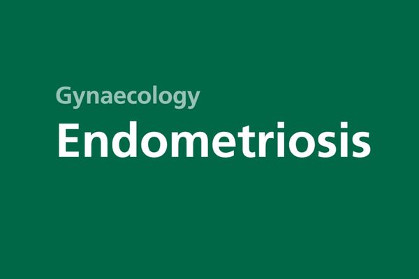 SomersetFT Service​