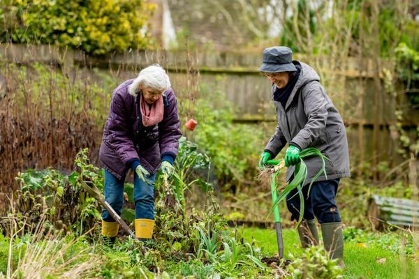 Women Gardening